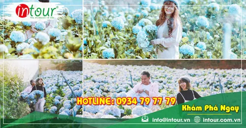 Tour Du Lịch Bắc Cạn - Nha Trang - Đà Lạt 4 Ngày 3 Đêm Năm 2026