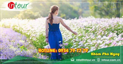 Tour Du Lịch Phan Thiết - Đà Lạt khởi hành từ Long An 4 Ngày 3 Đêm Năm 2026