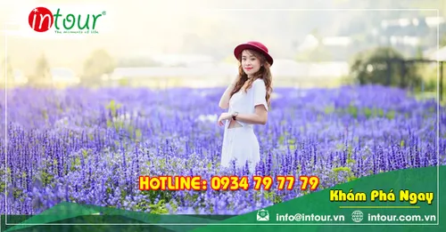 Tour Du Lịch Tây Ninh đi Nha Trang - Đà Lạt 4 Ngày 4 Đêm Năm 2026