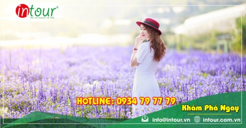 Tour Du Lịch Châu Đốc - Nha Trang - Đà Lạt 4 Ngày 4 Đêm Năm 2025