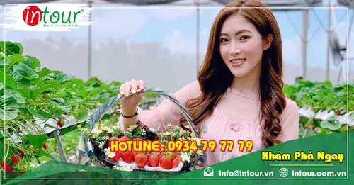 Tour Du Lịch Phan Thiết - Đà Lạt khởi hành từ Châu Đốc 4 Ngày 3 Đêm Năm 2026