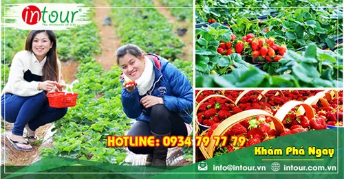 Tour Du Lịch Đồng Tháp đi Nha Trang - Đà Lạt 4 Ngày 4 Đêm Năm 2026