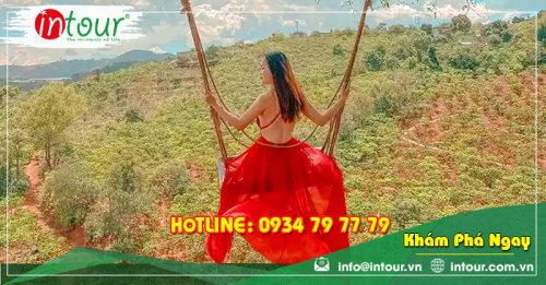 Tour Du Lịch Team Building Bình Dương đi Đà Lạt 3 Ngày 3 Đêm Năm 2025