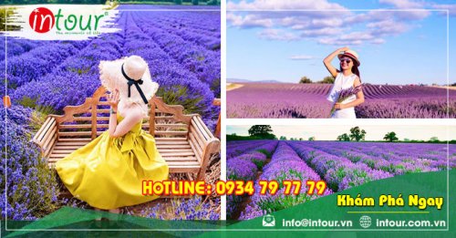 Tour Du Lịch Team Building Đà Lạt khởi hành Long An 3 Ngày 3 Đêm Năm 2025