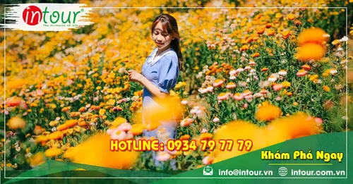 Tour Du Lịch Thanh Hóa - Đà Lạt 3 Ngày 2 Đêm Năm 2026