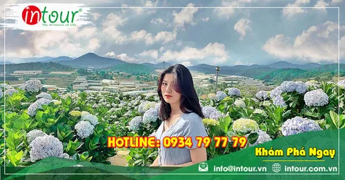 Tour Du Lịch Đà Lạt khởi hành từ Bình Thuận 2 Ngày 1 Đêm Năm 2026