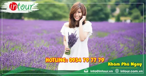 Tour Du Lịch Team Building Đà Lạt khởi hành từ Cà Mau 3 Ngày 3 Đêm Năm 2026