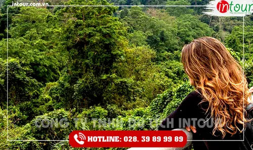 Tour Du Lịch Thái Nguyên - Đà Nẵng - Hội An - Bà Nà - Huế - Phong Nha 4 Ngày 3 Đêm Năm 2026