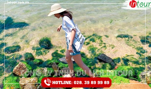 Tour Du Lịch Nha Trang - Khánh Hòa - Đà Nẵng - Cù Lao Chàm - Hội An - Bà Nà - Huế 5 Ngày 4 Đêm Năm 2025