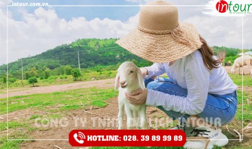 Tour Du Lịch Nam Định - Bình Châu- Vũng Tàu 3 Ngày 2 Đêm Năm 2025