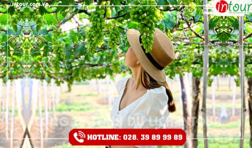 Tour Du Lịch Quảng Ngãi - Phan Thiết - Mũi Né 3 Ngày 2 Đêm Năm 2025