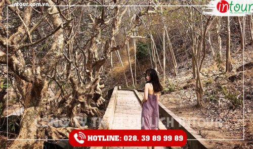 Tour Du Lịch Teambuilding Quảng Nam đi Vũng Tàu 2 Ngày 1 Đêm Năm 2025