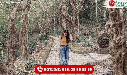 Tour Du Lịch Teambuilding Bình Thuận - Vũng Tàu 2 Ngày 1 Đêm Năm 2026