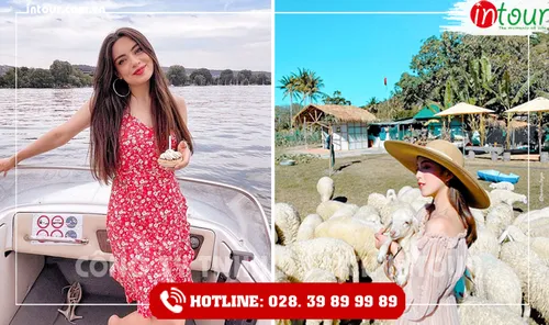 Tour Du Lịch Teambuilding Tây Ninh đi Vũng Tàu 2 Ngày 1 Đêm Năm 2026