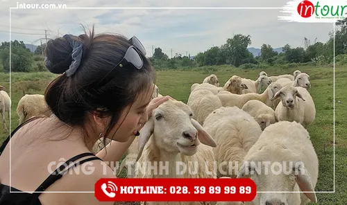 Tour Du Lịch Teambuilding Đồng Nai - Long Hải 1 Ngày Năm 2026