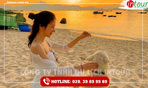 Tour Du Lịch Teambuilding - Gala Tây Ninh đi Ninh Chữ - Đảo Bình Hưng 3 Ngày 2 Đêm Năm 2026