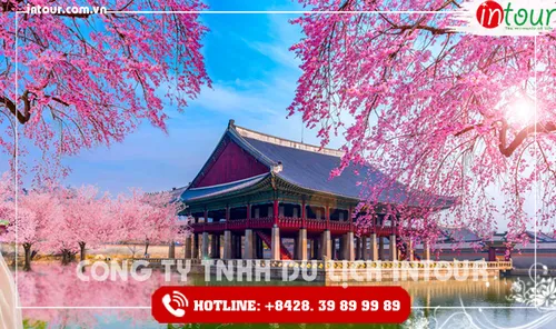 Tour Du Lịch Hàn Quốc Seoul – Nami – Everland 5 Ngày 4 Đêm 2026