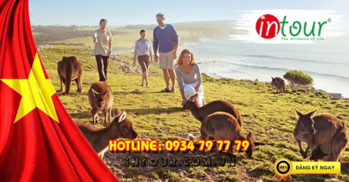 Tour Du Lịch Úc 8 Ngày 7 Đêm  Lễ 30/4/2026