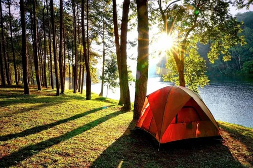 UPDATE những địa điểm cắm trại cực chill tại Hồng Ngự đang cực HOT