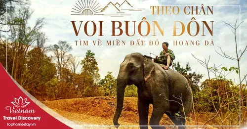 Tour Du Lịch Bảo Lộc 3 Ngày 2 Đêm