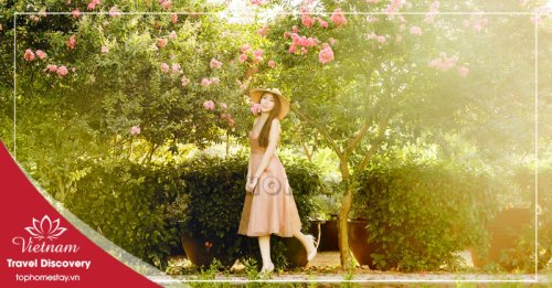 Tour Hang Tám Cô - Vườn Thực Vật - Động Phong Nha 1 Ngày