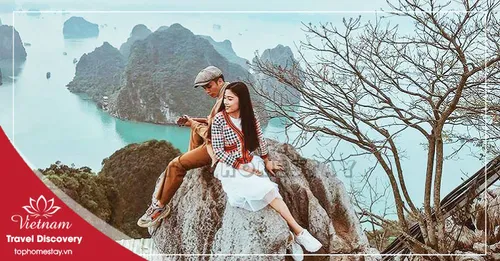 Tour Du Lịch Hạ Long - Tuần Châu - Cát Bà 4 Ngày 3 Đêm