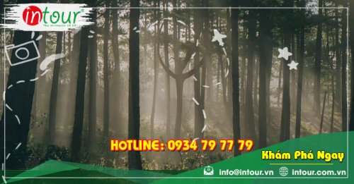 Địa Điểm Tham Quan Du Lịch Tại Đà Lạt