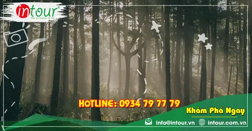 Địa Điểm Tham Quan Du Lịch Tại Đà Lạt