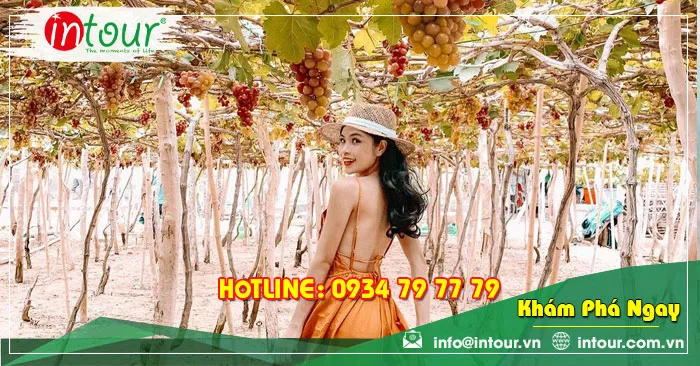 Tour Du Lịch Ninh Chữ - Bình Hưng 3 Ngày 2 Đêm