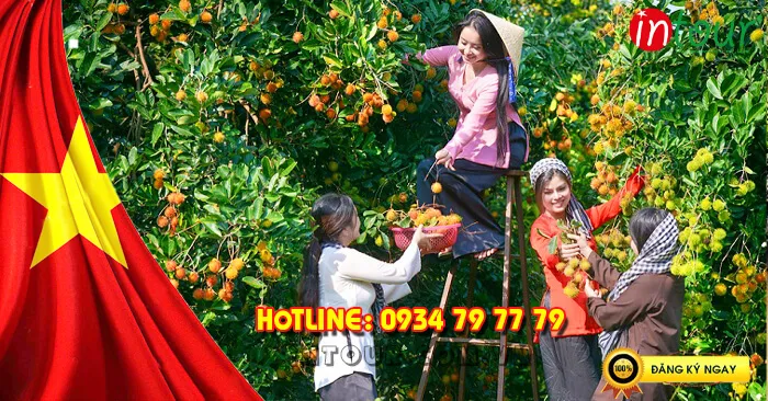Tour Du Lịch Miền Tây Mỹ Tho - Cần Thơ 2 Ngày 1 Đêm Lễ 30/4/2026