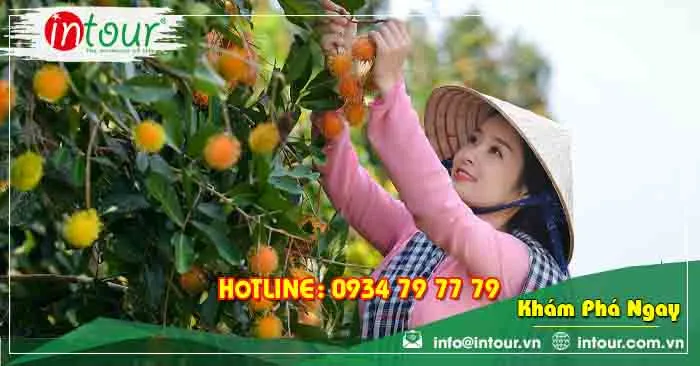 Tour Du Lịch Nghệ An (Vinh) - Phú Quốc - Miền Tây 6 Ngày 5 Đêm Năm 2026