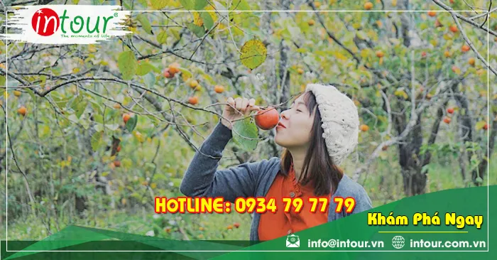 Tour Du Lịch Quảng Nam - Nha trang - Đà Lạt 4 Ngày 3 Đêm Năm 2026