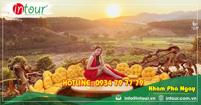 Tour Du Lịch Hải Dương - Đà Lạt 3 Ngày 2 Đêm Năm 2025