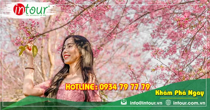 Tour Du Lịch Nha Trang - Đà Lạt khởi hành từ Trà Vinh 4 Ngày 4 Đêm Năm 2026