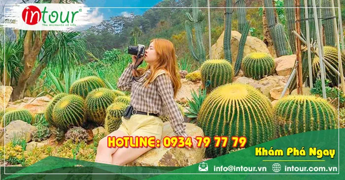 Tour Du Lịch Team Building Đà Lạt khởi hành từ Bạc Liêu 3 Ngày 3 Đêm Năm 2026