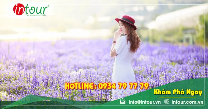 Tour Du Lịch Châu Đốc - Nha Trang - Đà Lạt 4 Ngày 4 Đêm Năm 2026