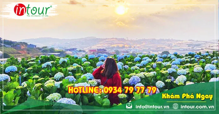 Tour Du Lịch Team Building Bình Phước đi Đà Lạt 3 Ngày 3 Đêm Năm 2026