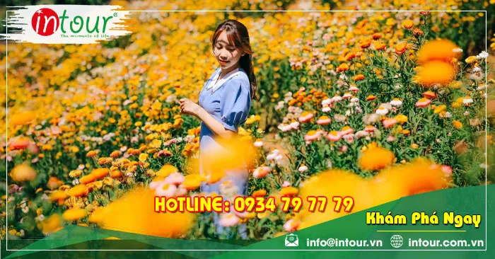 Tour Du Lịch Thanh Hóa - Đà Lạt 3 Ngày 2 Đêm Năm 2026