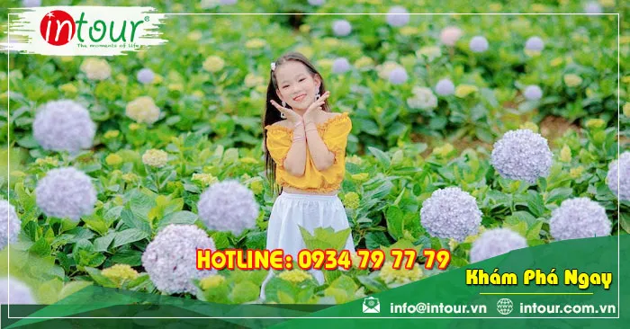 Tour Du Lịch Phan Thiết - Đà Lạt khởi hành từ Tiền Giang 4 Ngày 3 Đêm Năm 2026