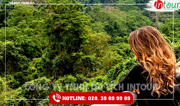 Tour Du Lịch Thái Nguyên - Đà Nẵng - Hội An - Bà Nà - Huế - Phong Nha 4 Ngày 3 Đêm Năm 2026