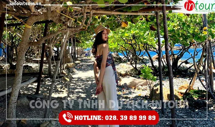 Tour Du Lịch Hải Dương - Đà Nẵng - Hội An - Bà Nà - Huế - Phong Nha 4 Ngày 3 Đêm Năm 2026