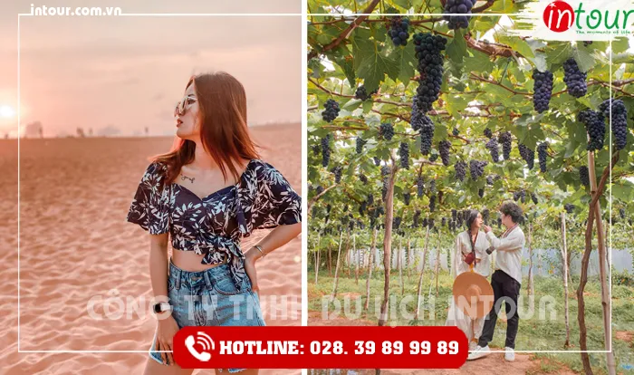 Tour Du Lịch Teambuilding Vĩnh Long đi Phan Thiết - Mũi Né 2 Ngày 1 Đêm Năm 2026