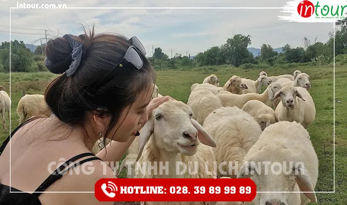 Tour Du Lịch Teambuilding Đồng Nai - Long Hải 1 Ngày Năm 2026