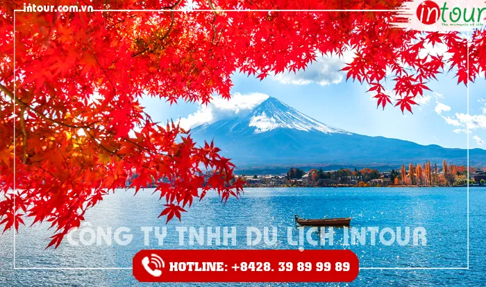 Tour Du Lịch Nhật Bản 5 Ngày 4 Đêm Tết Nguyên Đán 2026