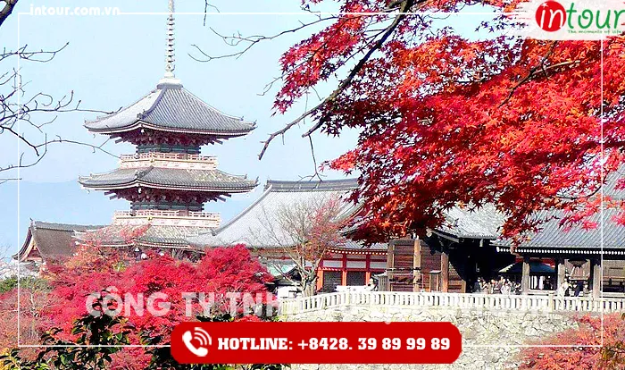 Tour Du Lịch Nhật Bản Tokyo – Kyoto – Osaka 7 Ngày 6 Đêm Năm 2026