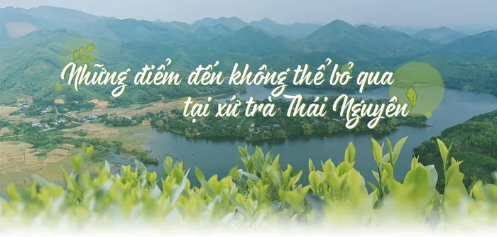 UPDATE Bảng Giá Vé Tham Quan Tại Thái Nguyên Năm 2026