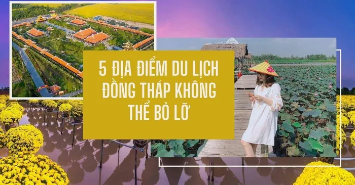 TOP các địa điểm tham quan du lịch đẹp nổi tiếng tại Đồng Tháp