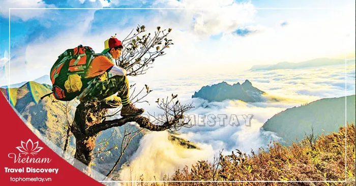 Tour Du Lịch Động Thiên Đường - Đỉnh Núi U Bò 1 Ngày