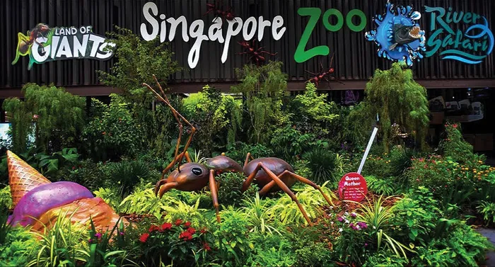 Vườn Thú Singapore : Thế Giới Động Vật Hoang Dã