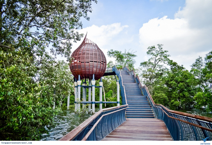 Khu Bảo Tồn Sungei Buloh Thiên Nhiên Đất Ngập Nước Singapore